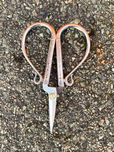 Forged Vintage Scissors