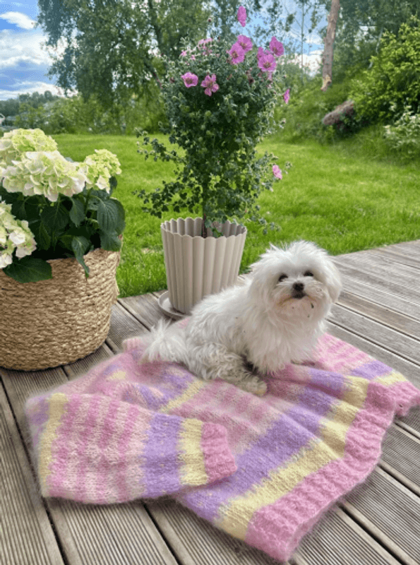 Idyll