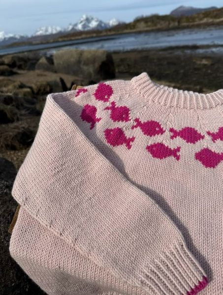 Hovedbilde FORHÅNDSBESTILLING Kystgenser ...