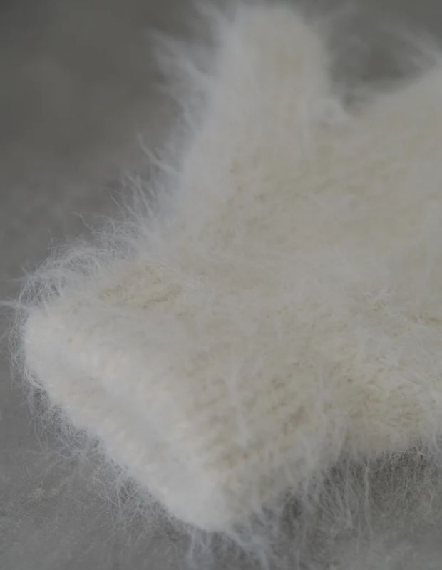  Fuzzy votter