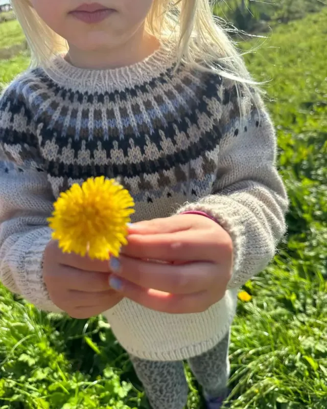 Celeste Sweater Junior (oppskrift)