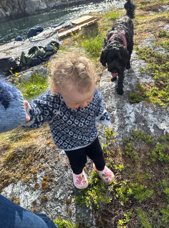Mini Fryd - Marine/lys blå